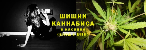 меф Арсеньев